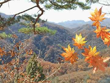 两名驴友被困山中，消防员深夜进山搜救