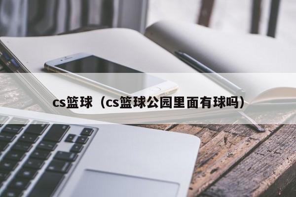 cs篮球（cs篮球公园里面有球吗）