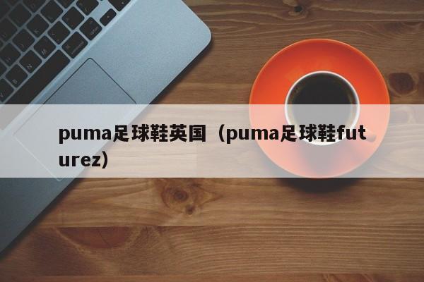 puma足球鞋英国（puma足球鞋futurez）