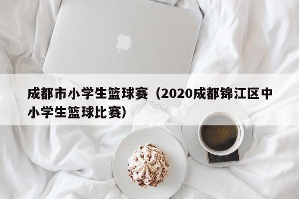 成都市小学生篮球赛（2020成都锦江区中小学生篮球比赛）