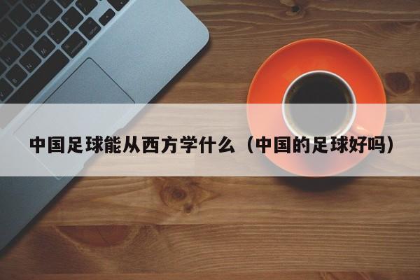 中国足球能从西方学什么（中国的足球好吗）