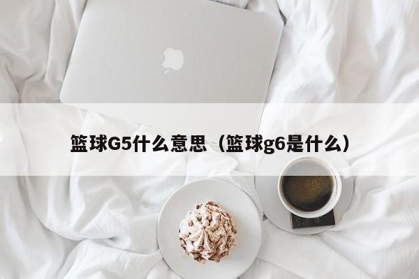 篮球G5什么意思（篮球g6是什么）